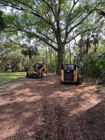 BRUSH CLEARING AND TREE REMOVAL/TRIMMING LIC. & INS.