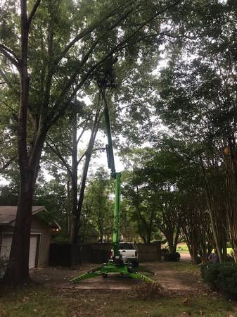 Landscaping, lawn care, yard clean up, tree trimming, tree removal