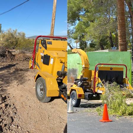 ??????Tree Trimming/Removal Palm Trimming/Removal Stump Grinding/Removal