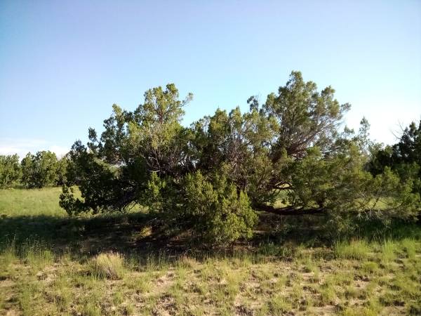 10 acres of Land for Sale