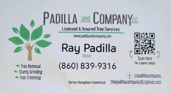 Tree Removal & Trimming Services/ Fall leaf Clean up