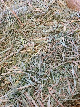 Small square bales of hay