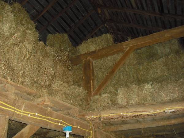 Hay for sale-Square bales