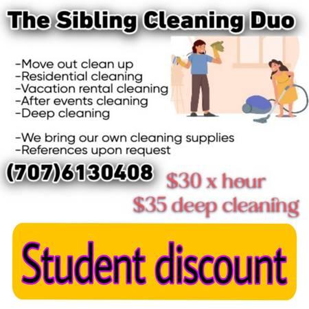 ****THE SIBLING CLEANING DUO****