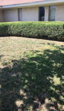 Ron & Stephs Abilene Tx Lawns for Less