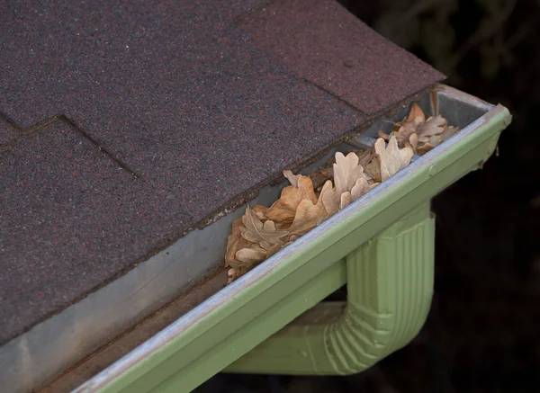 GUTTER CLEANING (941) 822 3896