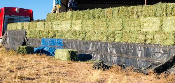 Hay for Sale- Alfalfa & alfalfa/grass mix