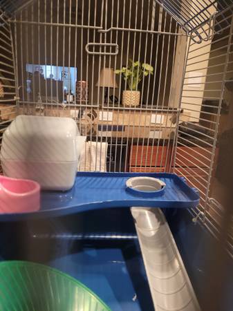 Hamster cage $20.