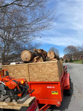 topz tree service