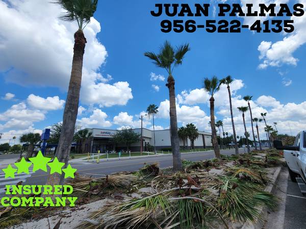 JUAN PALMAS ?? TRIMM ??PRUNING??STUMP??REMOVAL SERVICES??522-4135?