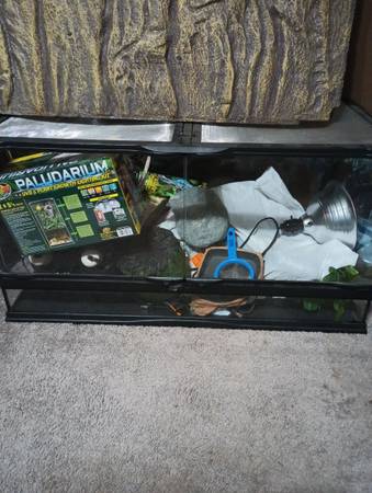 Reptile Tank & Supplies