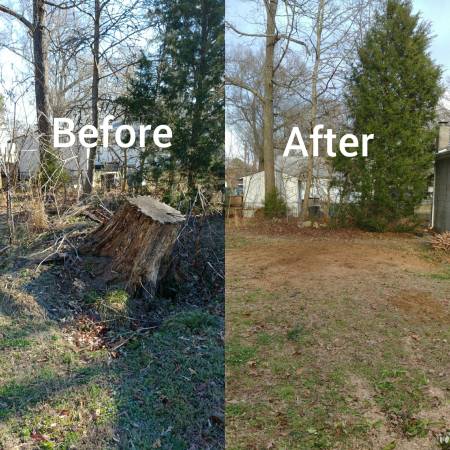 Fredericksburg STUMP GRINDING / REMOVAL No one beats our prices!