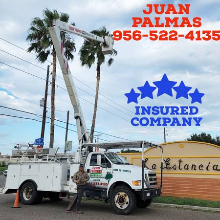 JUAN PALMAS ?? TRIMM ??PRUNING??STUMP??REMOVAL SERVICES??522-4135?