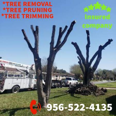 JUAN PALMAS ?? TRIMM ??PRUNING??STUMP??REMOVAL SERVICES??522-4135?