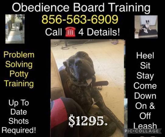 An All Breed K9 Obedience Potty Training And