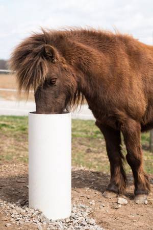 LIVESTOCK WATERER, FROST FREE , IRRIGATION R/R, SEWER SYSTEMS