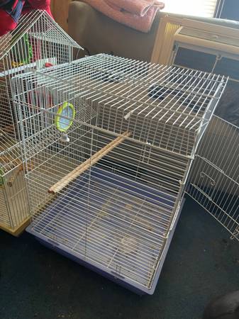 3 bird cages