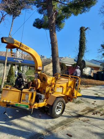 TREE SERVICE,TREE TRIMMING TREE REMOVAL ROANOKEVA