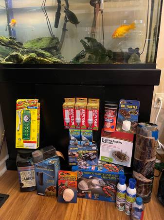 30 Gallon Turtle Tank with Everything