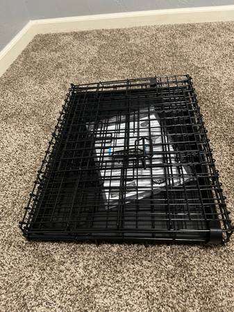 Like new wire dog crate / kennel