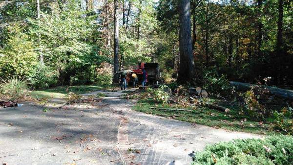 ??TREE CUTTING & LANDSCAPING SERVICE BY PEREZ??