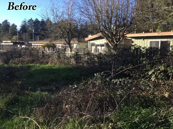 ????WEEDS BE GONE-Fine Landscape-Tree Care-Brush Clearing & More??