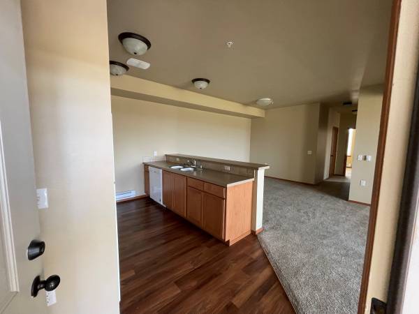 Three Bedroom Apartment with TV Lounge- (Move In Fall 2023)