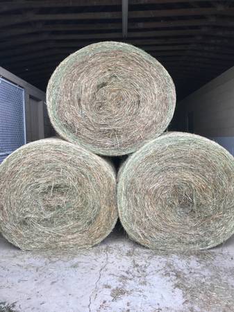 Large Hay Rolls for sale