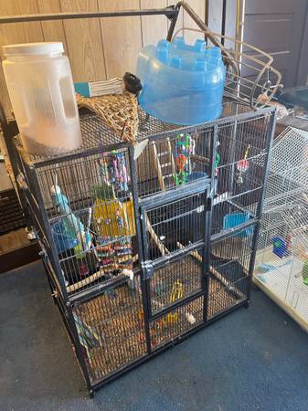 3 bird cages