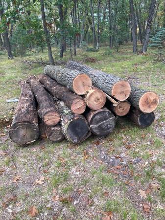 Red oak logs and pine,hemlock