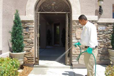 $79 Full Home Pest Control Treatment