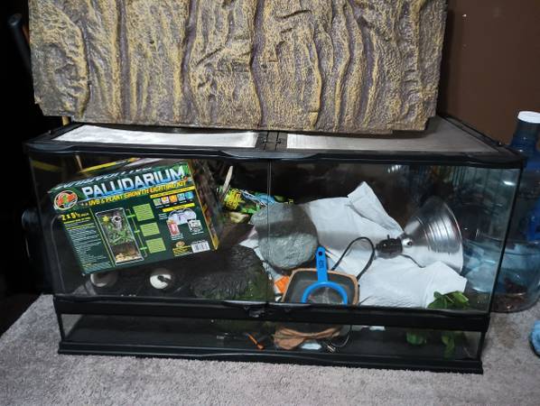 Reptile Tank & Supplies