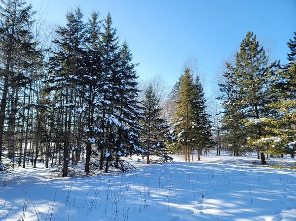 Lakefront Getaway near Rhinelander, WI