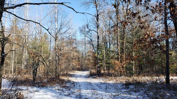 Pembine Area Five Wooded Acres Camp or Build