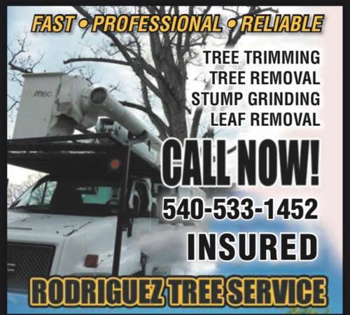 Rodriguez tree service