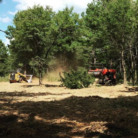 Land Clearing – Tree Trimming