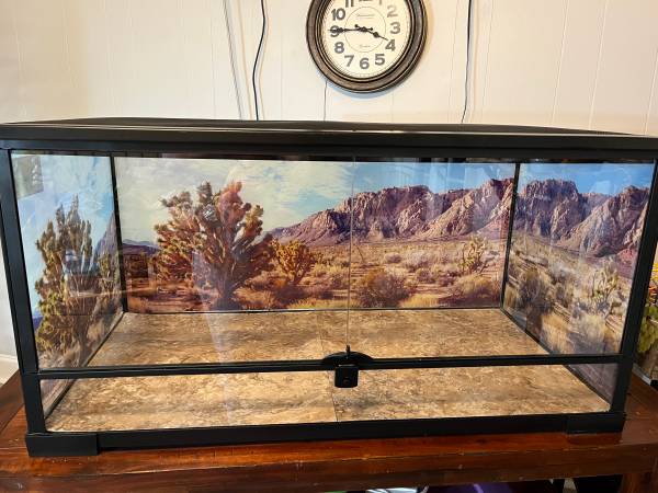 40 gallon reptile tank