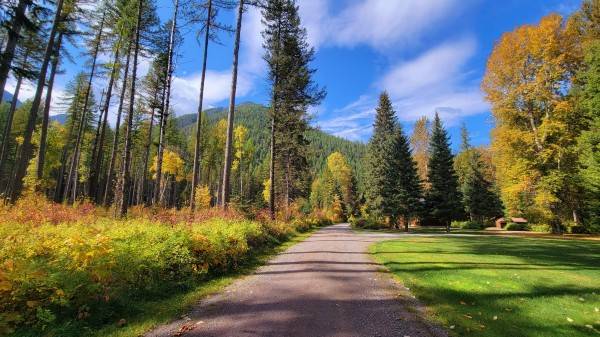 Glacier Park Log Cabin 8-12-8-19 $171