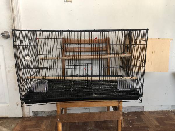 Cages and birds available