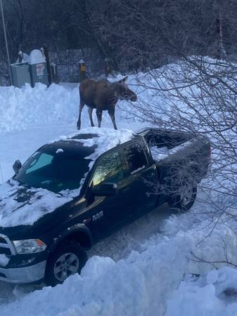 Roof Snow Removal (Licenced and insured)