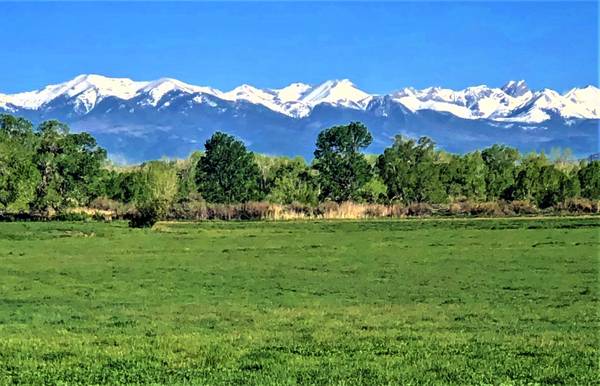 Hay for Sale- Alfalfa & alfalfa/grass mix