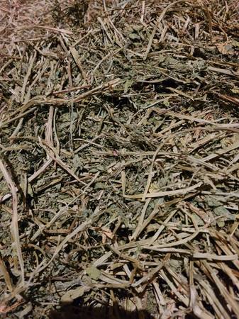 Small square bales of hay