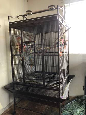 Cages and birds available