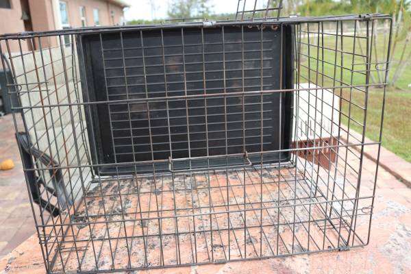 Dog Kennel Crate – Small Wire Cage – 24″ x 16″ – 19″ Tall – $20