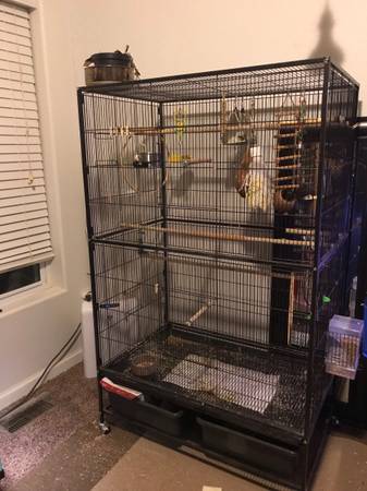 Extra Large Bird Cage for Small Colony Birds