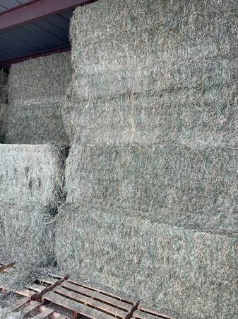 quality barn stored grass hay