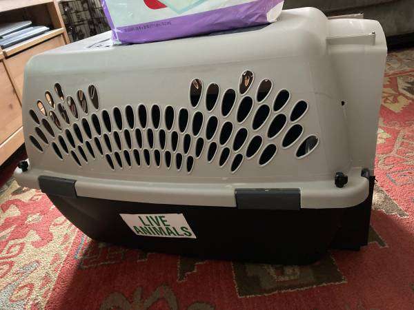 Small Airplane Safe Dog Crate