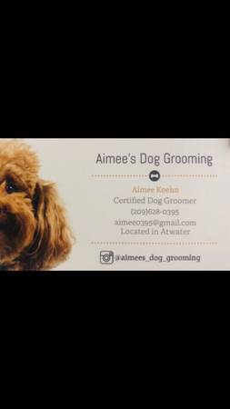 Dog Grooming