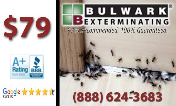 $79 Full Home Pest Control – Inside Out Treatment