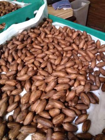 Pecans